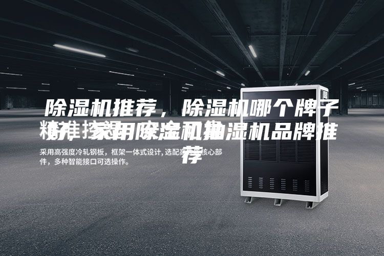 除濕機推薦，除濕機哪個牌子好, 家用除濕機抽濕機品牌推薦