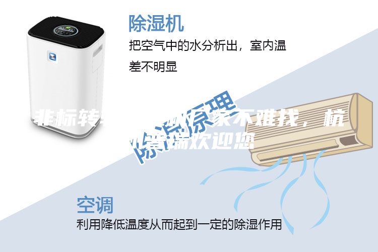 非標轉輪除濕機廠家不難找,杭州普瑞歡迎您