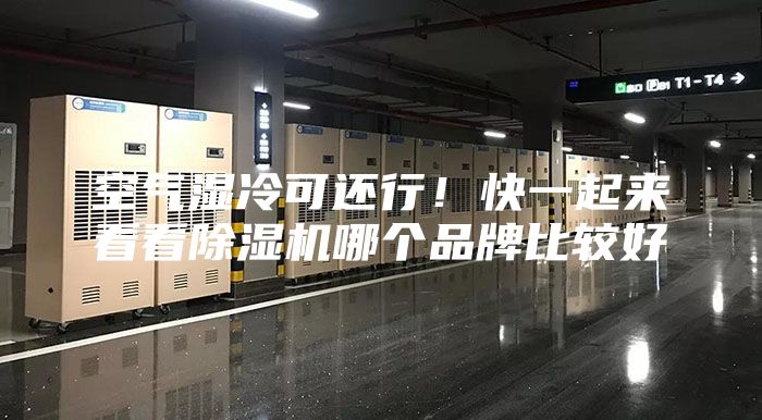 空氣濕冷可還行!快一起來看看除濕機哪個品牌比較好