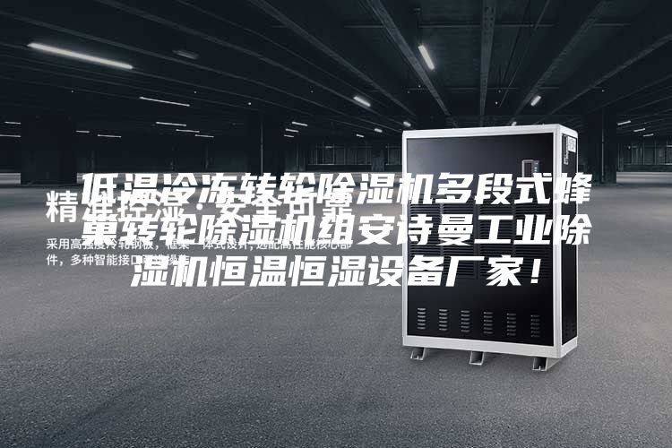 低溫冷凍轉(zhuǎn)輪除濕機(jī)多段式蜂巢轉(zhuǎn)輪除濕機(jī)組安詩曼工業(yè)除濕機(jī)恒溫恒濕設(shè)備廠家！