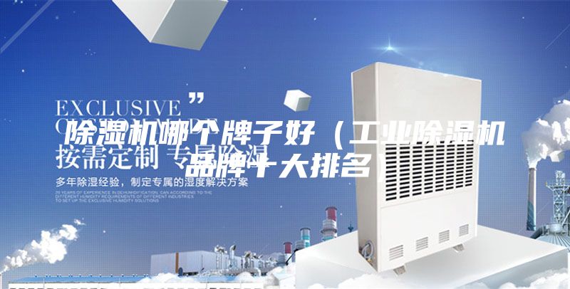 除濕機哪個牌子好(工業除濕機品牌十大排名)