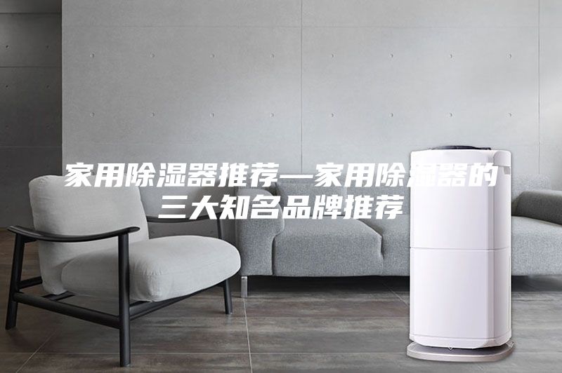 家用除濕器推薦—家用除濕器的三大知名品牌推薦