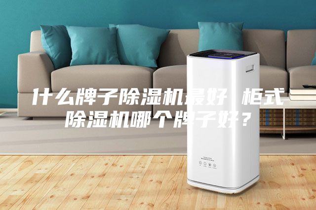 什么牌子除濕機最好 柜式除濕機哪個牌子好?