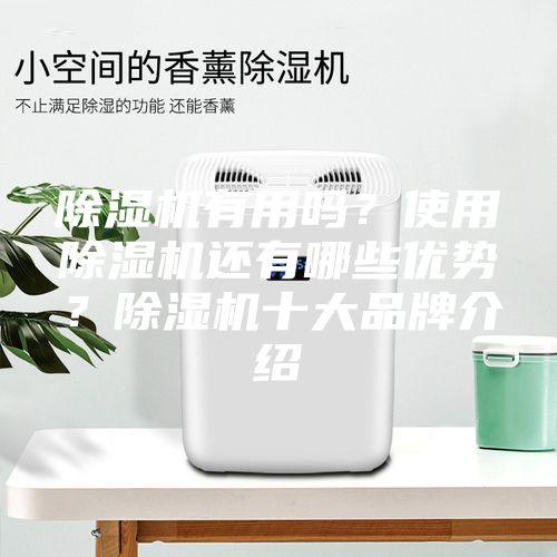 除濕機有用嗎？使用除濕機還有哪些優勢？除濕機十大品牌介紹