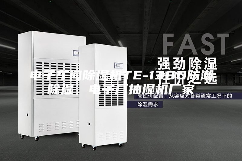 電子車間除濕機TE-138D防潮除濕,電子廠抽濕機廠家