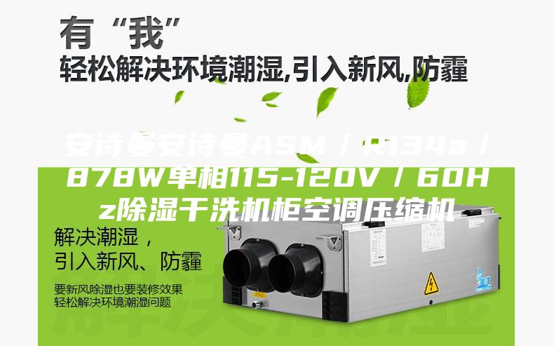 安詩曼安詩曼ASM／R134a／878W單相115-120V／60Hz除濕干洗機柜空調(diào)壓縮機