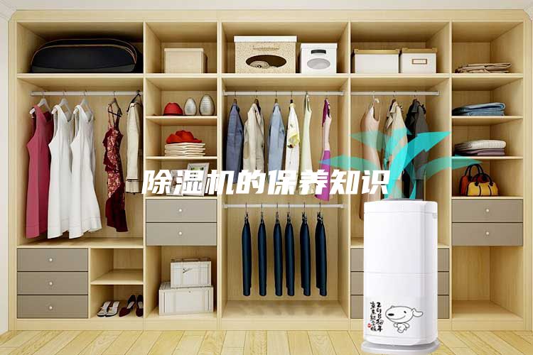 除濕機的保養知識