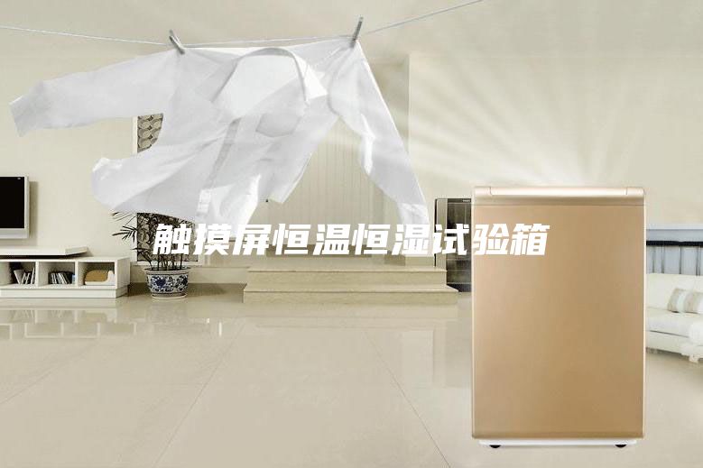 觸摸屏恒溫恒濕試驗箱