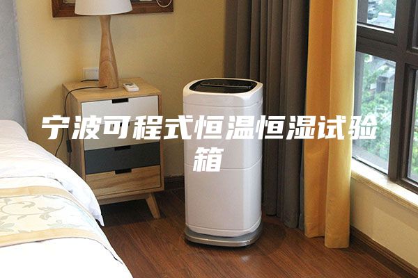 寧波可程式恒溫恒濕試驗(yàn)箱
