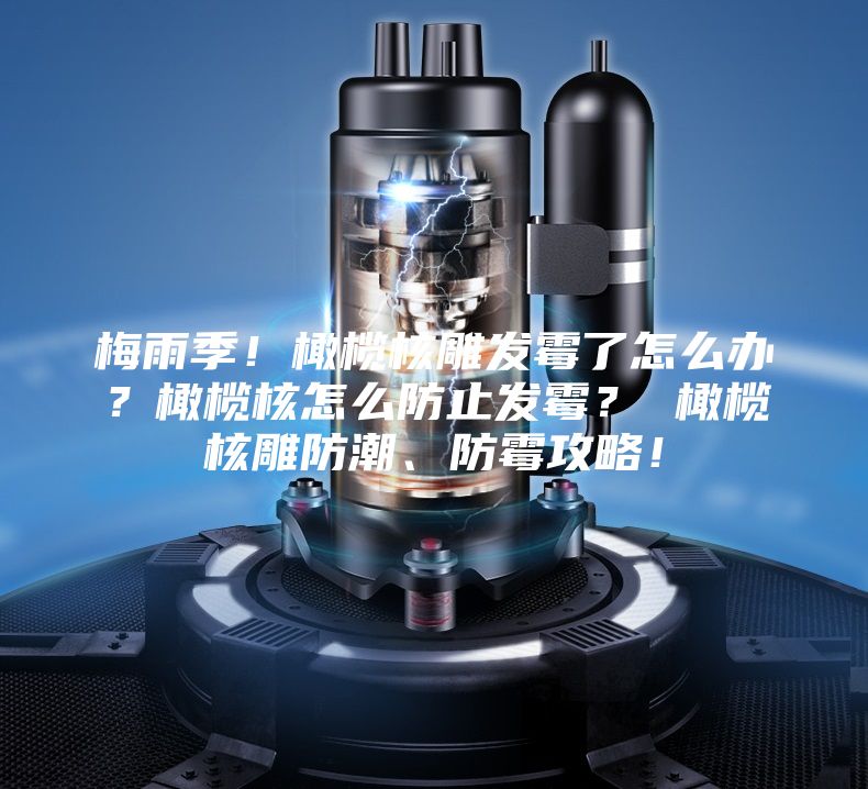 梅雨季！橄欖核雕發霉了怎么辦？橄欖核怎么防止發霉？ 橄欖核雕防潮、防霉攻略！