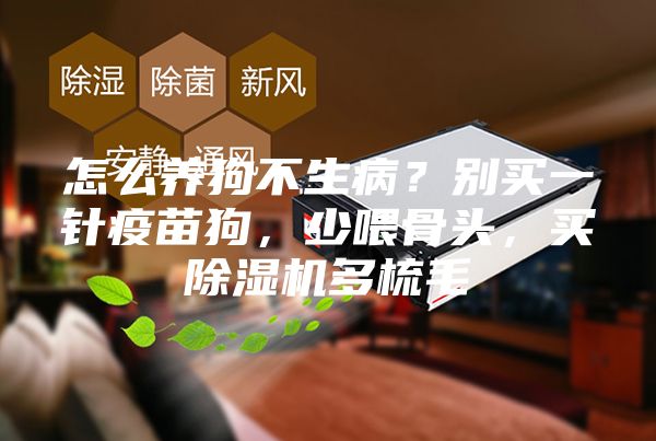 怎么養狗不生病？別買一針疫苗狗，少喂骨頭，買除濕機多梳毛