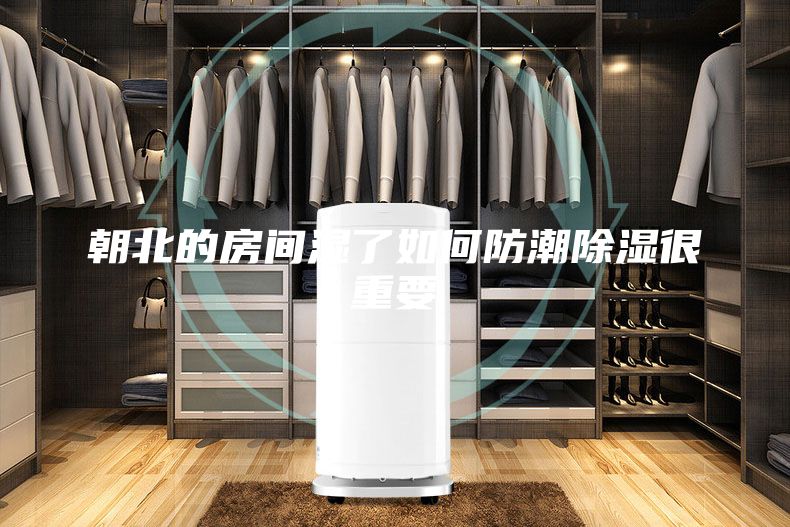 朝北的房間濕了如何防潮除濕很重要