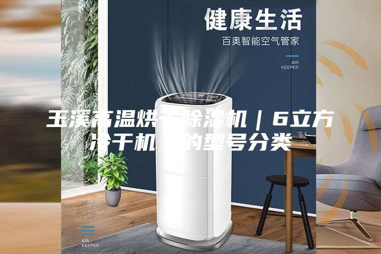 玉溪高溫烘干除濕機(jī)｜6立方冷干機(jī)｜的型號(hào)分類(lèi)