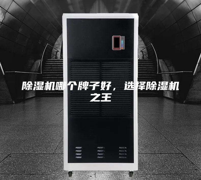 除濕機(jī)哪個牌子好,選擇除濕機(jī)之王