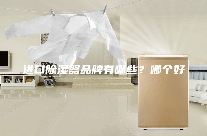 進(jìn)口除濕器品牌有哪些?哪個(gè)好