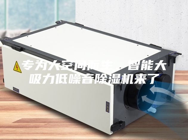 專為大空間而生，智能大吸力低噪音除濕機來了
