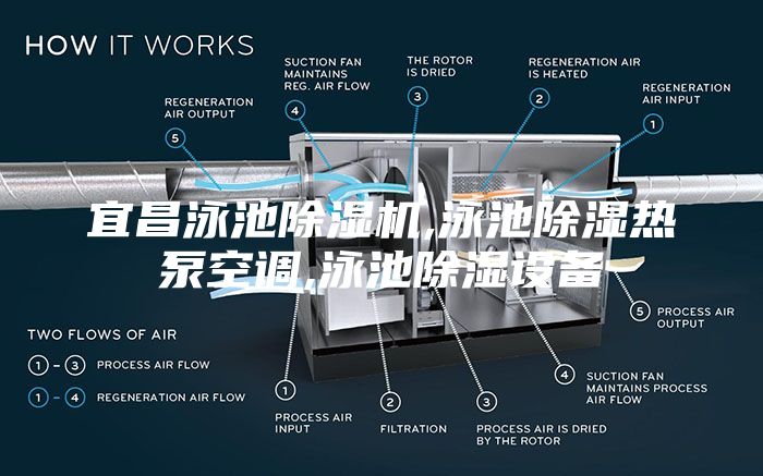 宜昌泳池除濕機,泳池除濕熱泵空調(diào),泳池除濕設(shè)備