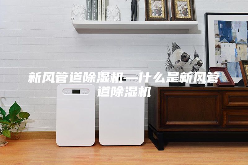 新風(fēng)管道除濕機(jī)—什么是新風(fēng)管道除濕機(jī)