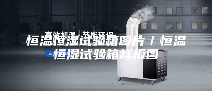 恒溫恒濕試驗箱圖片／恒溫恒濕試驗箱樣板圖