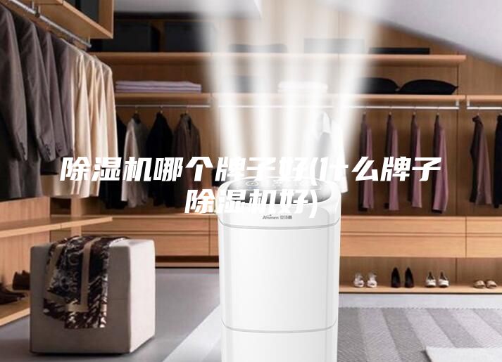 除濕機哪個牌子好(什么牌子除濕機好)