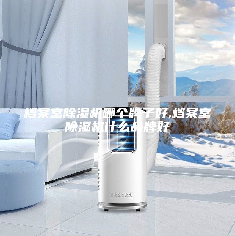 檔案室除濕機(jī)哪個(gè)牌子好,檔案室除濕機(jī)什么品牌好