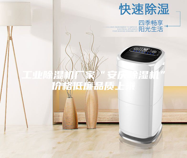 工業(yè)除濕機(jī)廠家“安慶除濕機(jī)”價格低廉品質(zhì)上乘