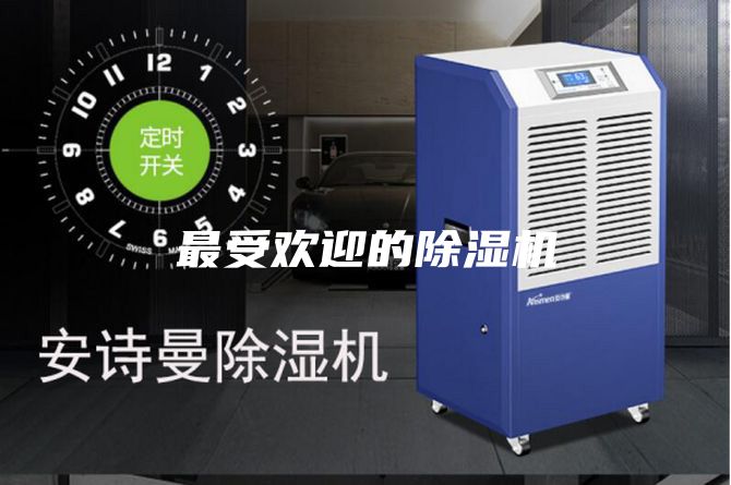 最受歡迎的除濕機
