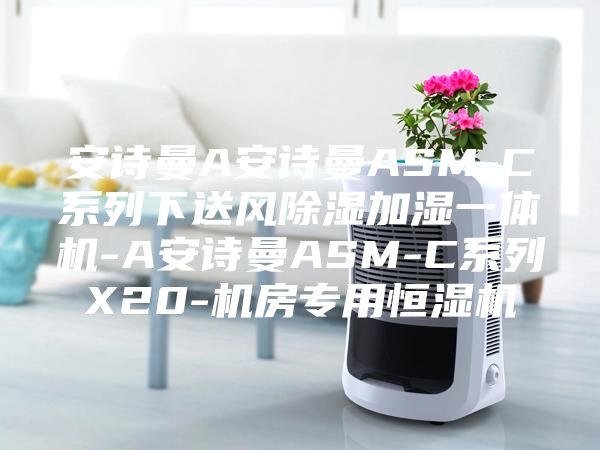 安詩曼A安詩曼ASM-C系列下送風(fēng)除濕加濕一體機-A安詩曼ASM-C系列X20-機房專用恒濕機
