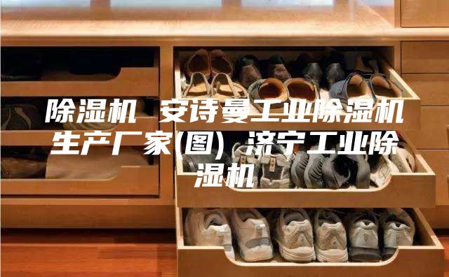 除濕機(jī) 安詩(shī)曼工業(yè)除濕機(jī)生產(chǎn)廠家(圖) 濟(jì)寧工業(yè)除濕機(jī)