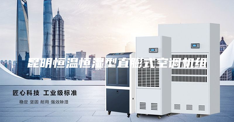昆明恒溫恒濕型直膨式空調(diào)機組