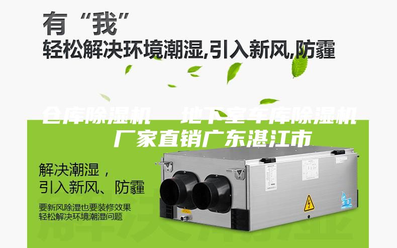 倉庫除濕機 地下室車庫除濕機 廠家直銷廣東湛江市