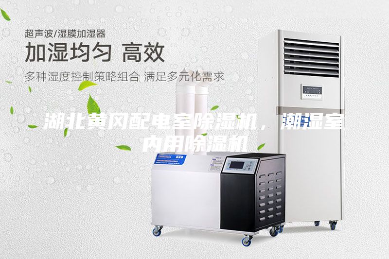 湖北黃岡配電室除濕機，潮濕室內(nèi)用除濕機