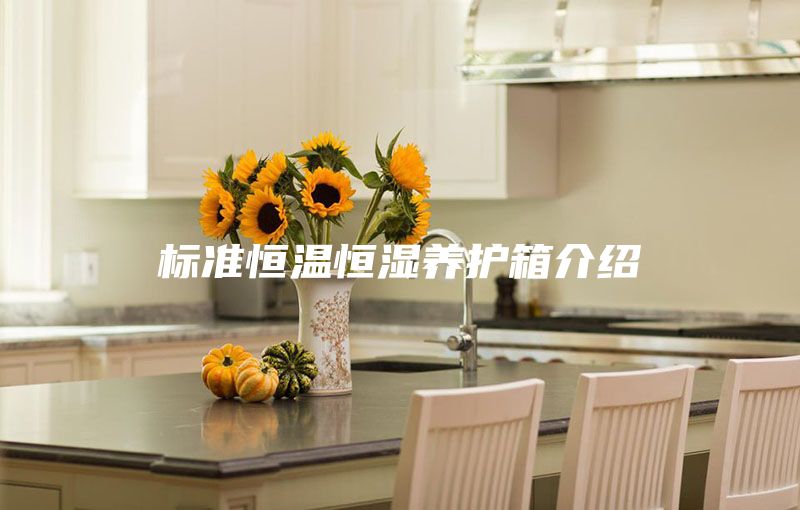 標(biāo)準(zhǔn)恒溫恒濕養(yǎng)護(hù)箱介紹