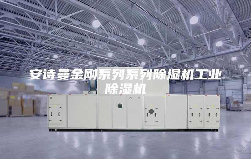 安詩曼金剛系列系列除濕機工業(yè)除濕機