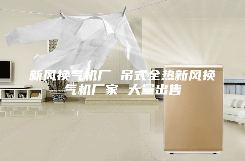 新風換氣機廠 吊式全熱新風換氣機廠家 大量出售