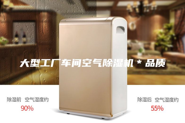 大型工廠車間空氣除濕機(jī)*品質(zhì)