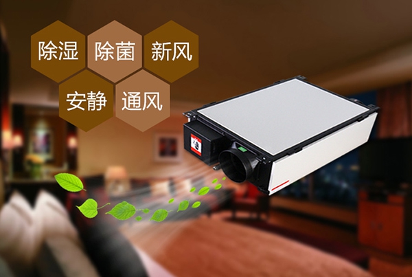 家用除濕機(jī)選購(gòu)技巧 助你干爽每一天