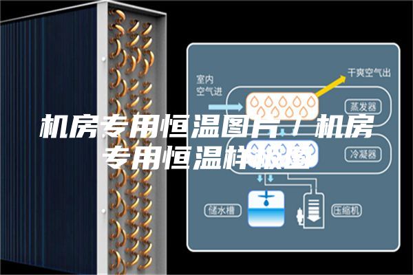 機(jī)房專用恒溫圖片/機(jī)房專用恒溫樣板圖