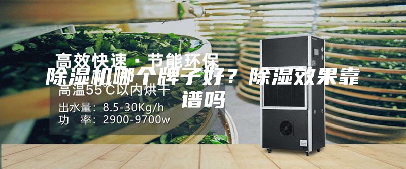 除濕機哪個牌子好?除濕效果靠譜嗎