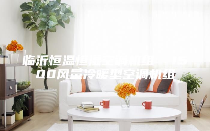 臨沂恒溫恒濕空調(diào)機組  1500風量冷暖型空調(diào)機組