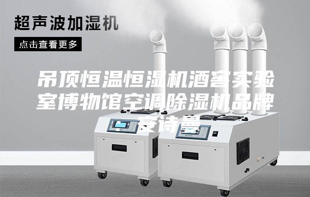 吊頂恒溫恒濕機(jī)酒窖實(shí)驗(yàn)室博物館空調(diào)除濕機(jī)品牌:安詩曼