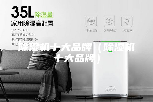 除濕機(jī)十大品牌（除濕機(jī)十大品牌）