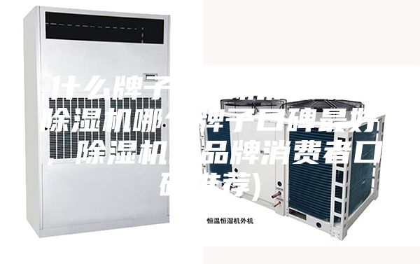 什么牌子除濕機質量好(除濕機哪個牌子口碑最好，除濕機的品牌消費者口碑推薦)