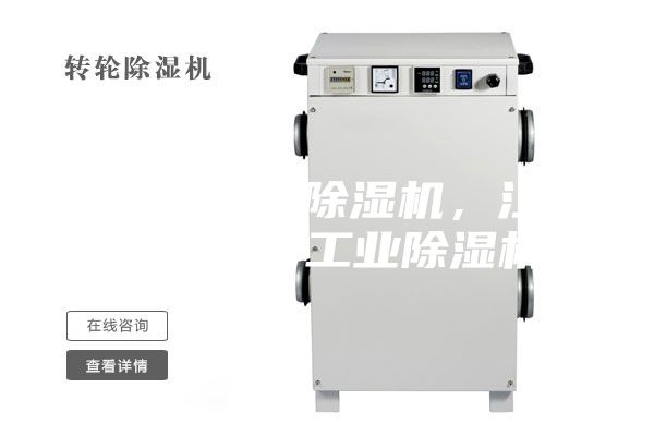 低露點轉(zhuǎn)輪除濕機，江蘇除濕機，工業(yè)除濕機