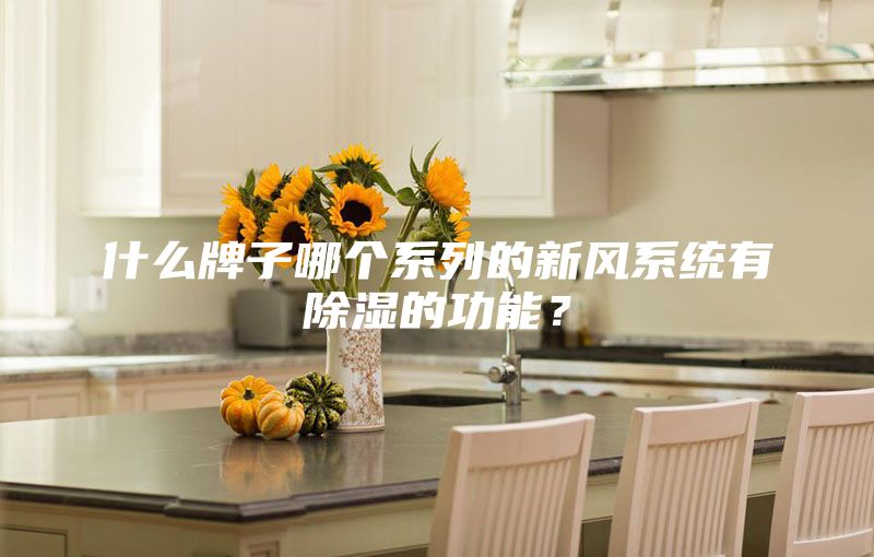 什么牌子哪個系列的新風(fēng)系統(tǒng)有除濕的功能？