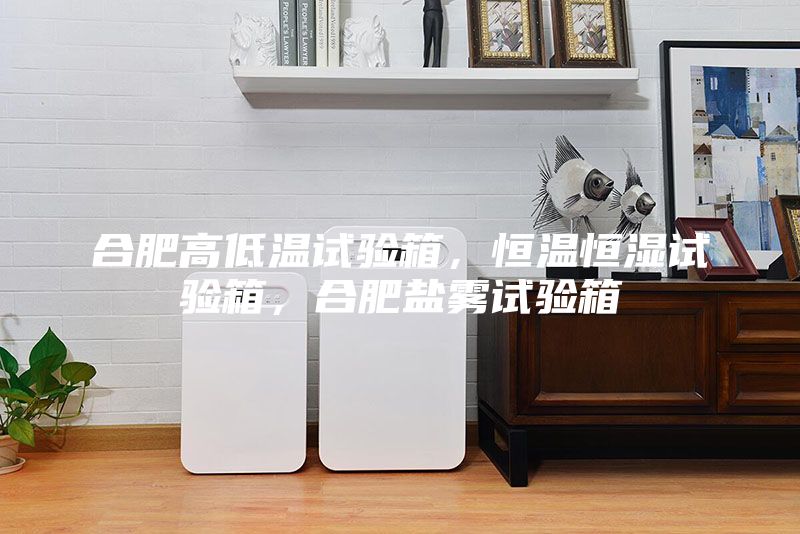 合肥高低溫試驗(yàn)箱，恒溫恒濕試驗(yàn)箱，合肥鹽霧試驗(yàn)箱