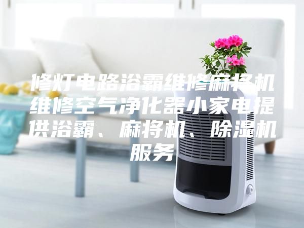 修燈電路浴霸維修麻將機(jī)維修空氣凈化器小家電提供浴霸、麻將機(jī)、除濕機(jī)服務(wù)