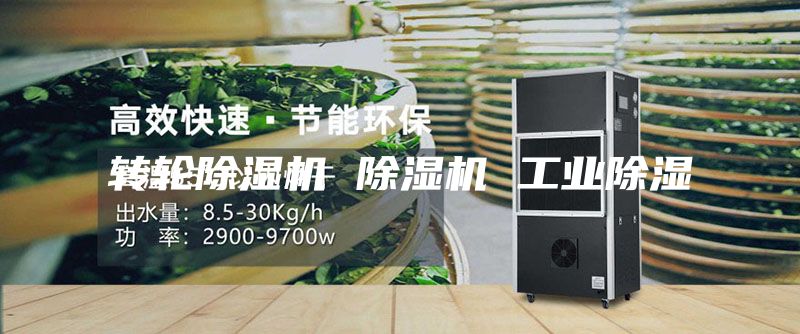 轉(zhuǎn)輪除濕機 除濕機 工業(yè)除濕
