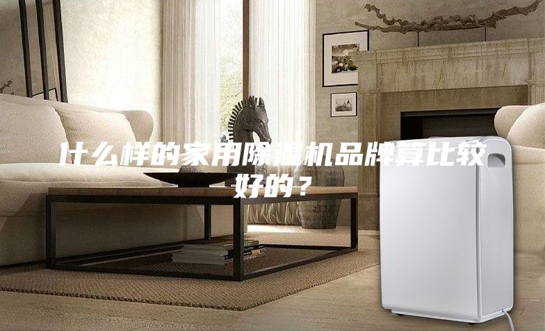 什么樣的家用除濕機品牌算比較好的？