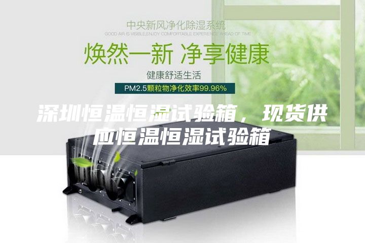 深圳恒溫恒濕試驗(yàn)箱，現(xiàn)貨供應(yīng)恒溫恒濕試驗(yàn)箱